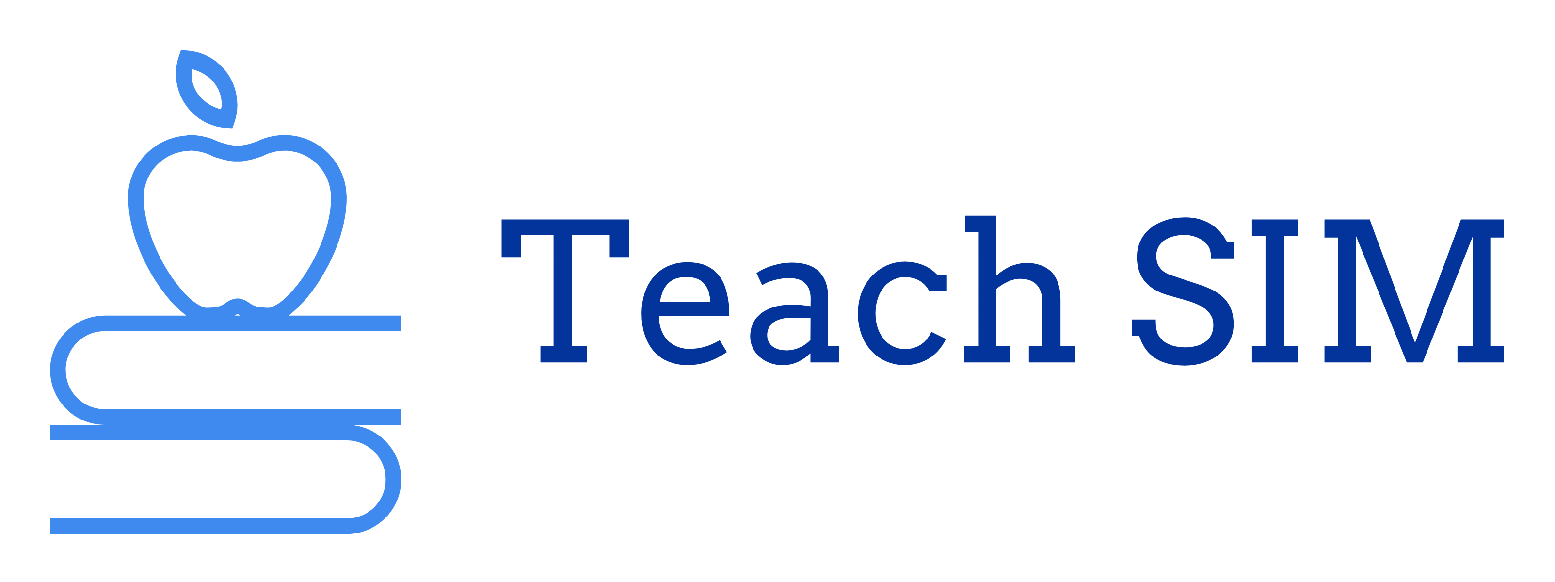 TeachSim CS101